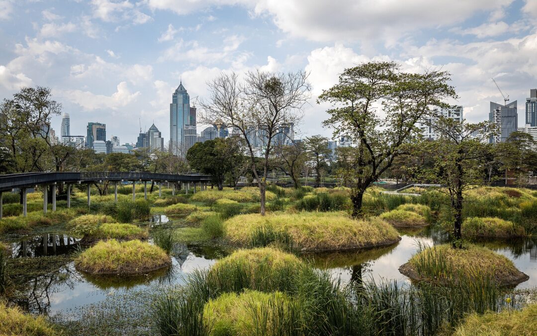 Benjakitti Park Living Guide For Bangkok Buyers