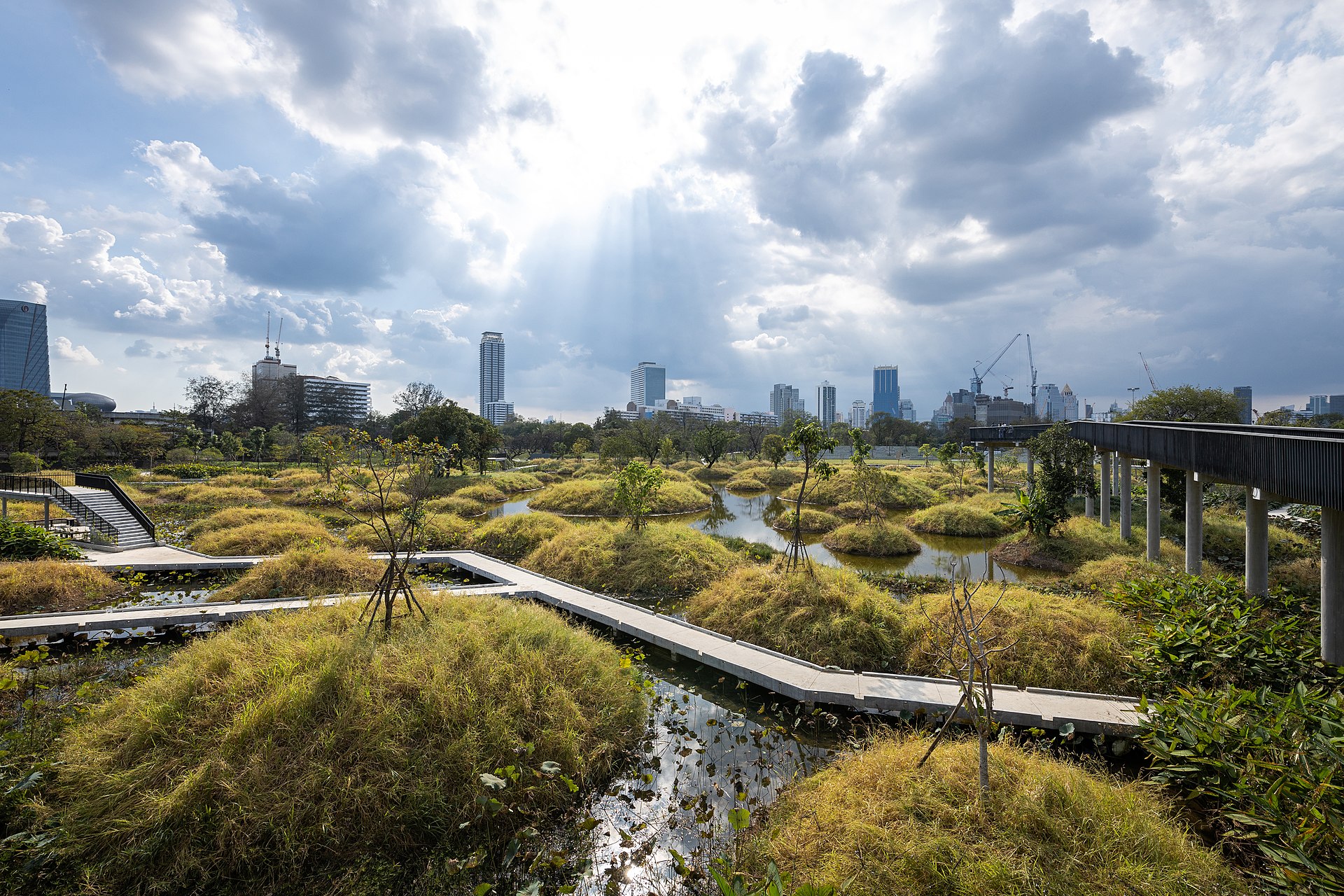 Elevated walkways, wetlands and skyline views make the park part of daily life rather than only a weekend destination.