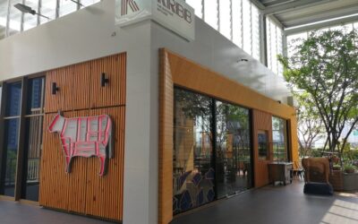 Bangkok Community Mall Condo Living Guide